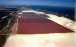 Boyd King '88 manages Hutt Lagoon in Perth, Australia.