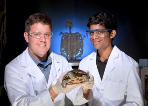 James Dearworth, associate professor of biology, and Brian Selvarajah ’12 analyzed visual pathways in vertebrates using the turtle as a model. Dearworth is one of 60 faculty whose research deals with health and life sciences.