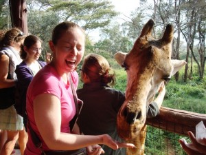 Lauren Hartnett '13 feeds a giraffe.
