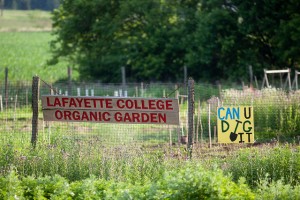 The Lafayette Organic Garden at Metzgar Fields was the focus of a student project.