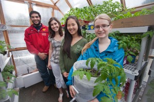 Asad Akram 13 (l-r), Alexandra Behette '13, Helen Xu '14, and Julia Seidenstein '14 in Easton Area Community Center’s greenhouse