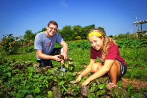 Peter Todaro '16 and Julia Kripas '15 harvest and clean vegetables at LaFarm.