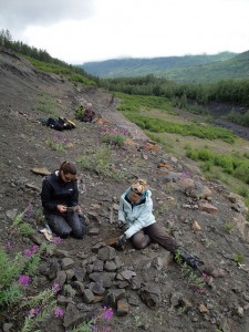 Alexandria Brannick '12, left, sorts fossil leaves from Alaska's Chickaloon Formation.