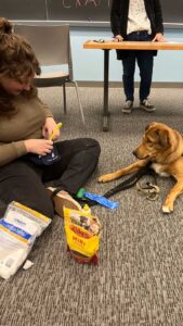 Student Caroline Schaeffer '23 sitting on floor with service-dog-in-training Wiss Fiss during a training session in a Lafayette classroom