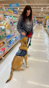Lafayette student Julia Banks '23 working with service-dog-in-training Kramer at a grocery store
