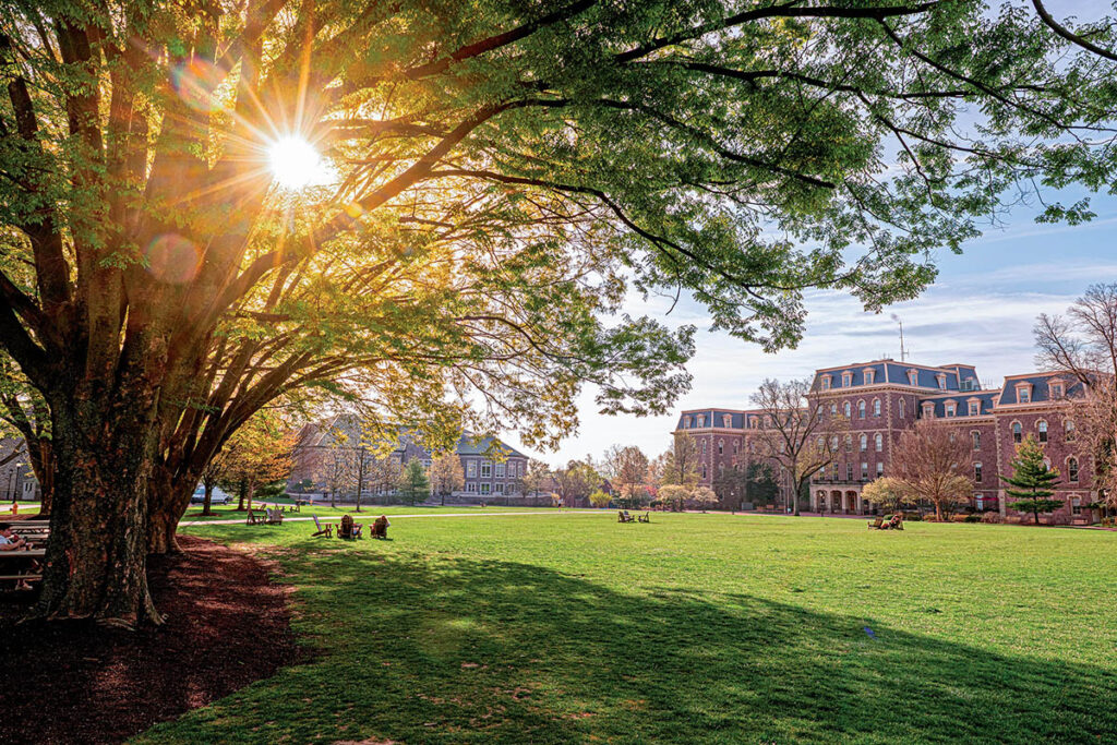 The sunshines behind a large tree on the Quad; Lafayette College's Pardee Hall can be seen in the background.
