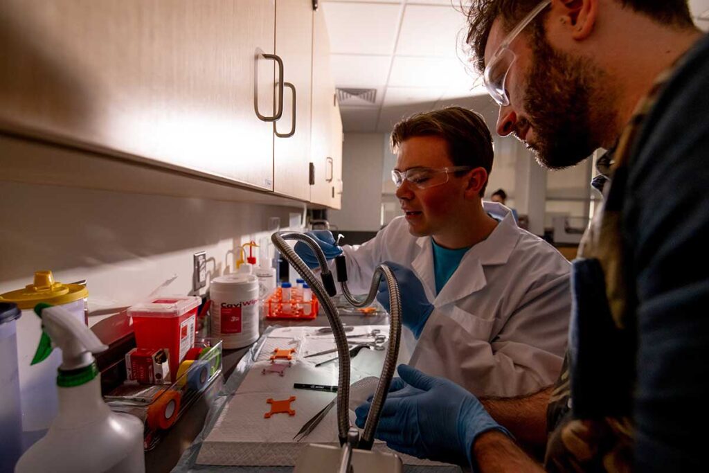 Professor Ryan Rosario and student-researcher Jack Blackmar conducting research in a laboratory