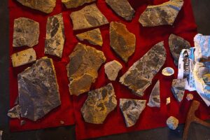 Fossils on a table with a red cloth