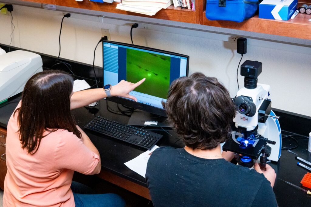 Prof. Tamara Stawicki and Eric Novak ’27 look at a computer in a lab showing cells from a microscope.