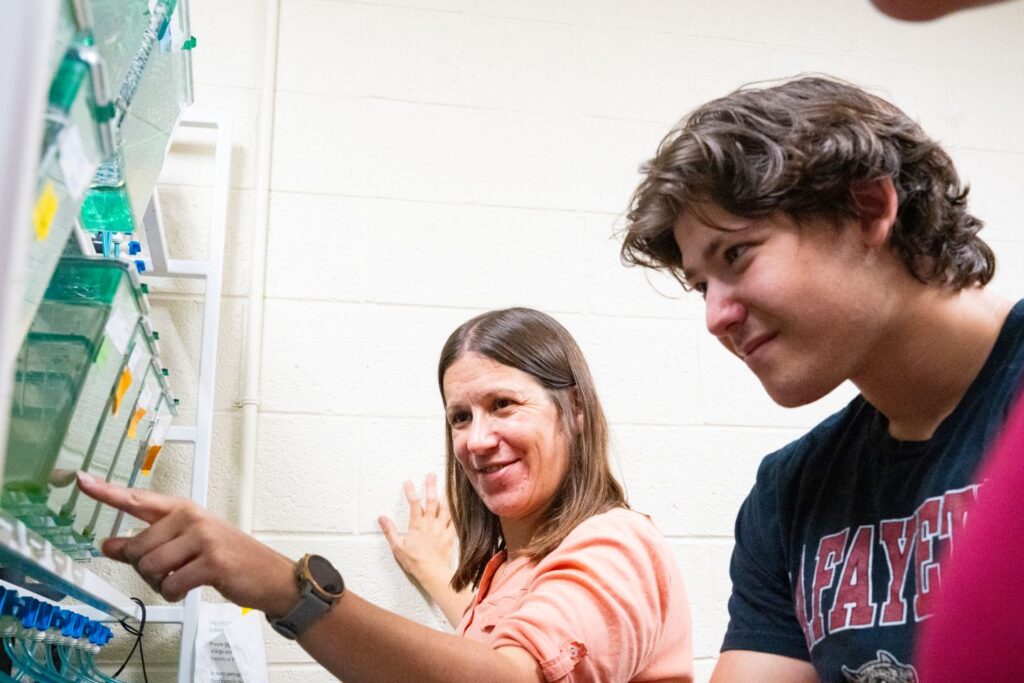 Eric Novak ’27 and Prof. Tamara Stawicki point to zebrafish in a container inside a lab.