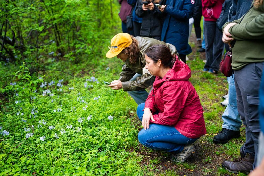 Prof. Rothenberger looks at plants with a student.
