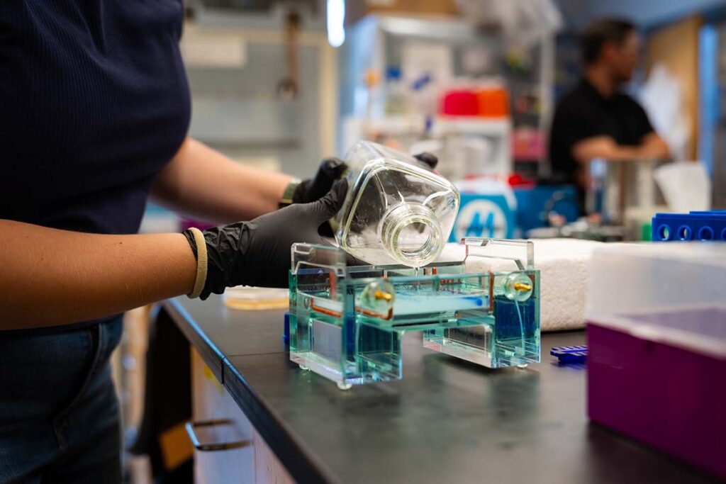 A person fills a research tool with a liquid
