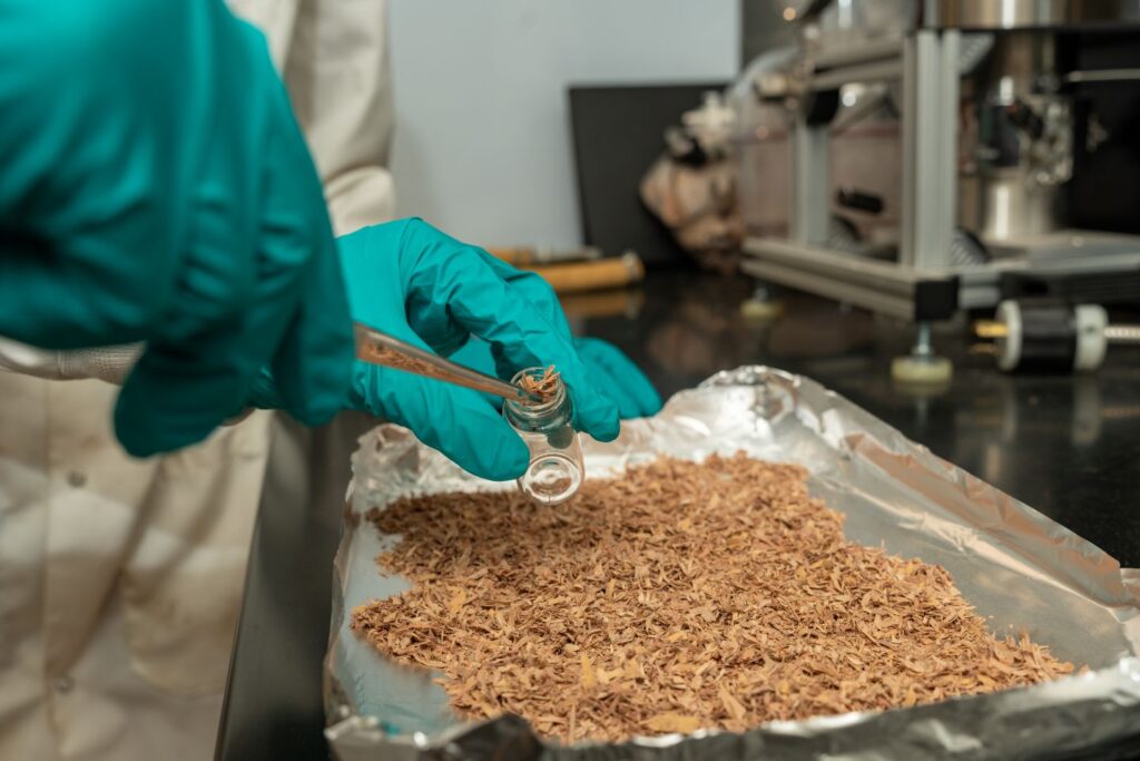 Betulin is extracted from pulverized white birch bark. (Photo | JaQuan Alston)