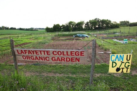 Lafayette College Organic Garden near Metzgar Fields on Sullivan Trail