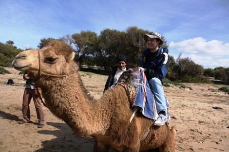 Ralph Blumberg ’13 rides a camel in Morocco.