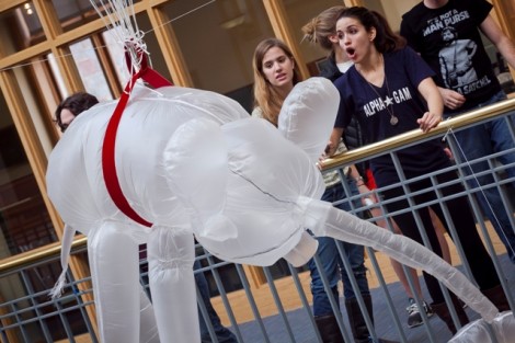Shira Underberger '12 and Angelina Sanchez '13 are cautious as the elephant goes up.