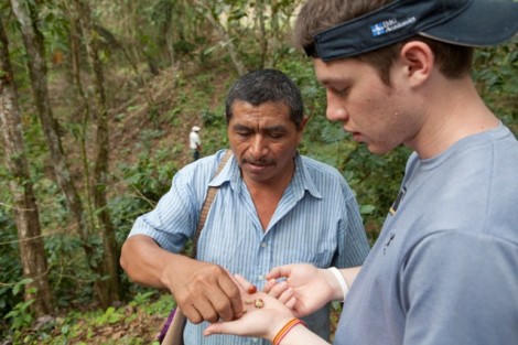 Stefano Valle '14, right, examines coffee berries with a villager.