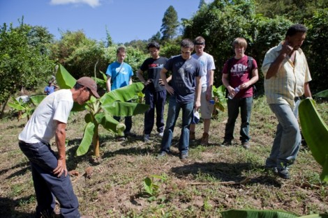 The team examines plantings in El Convento.