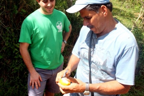 Costa Rica- Alec Eidelman '13 inspects fruit with a local farmer.