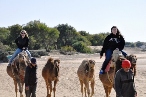 Sophie Richards '14 (left) and Laura Spadaccini '14 ride camels in Morocco.