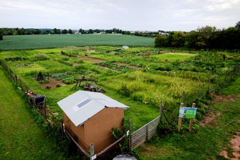 The Lafayette Organic Garden is located just south of Metzgar Fields on Sullivan Trail.