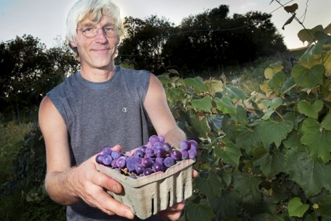 Cliff Reiter, professor of math, shows off some grapes he and his family have just harvested. 