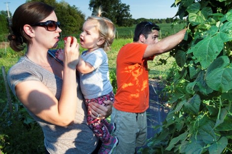 Chris Conn Tomik '03, associate director of alumni relations, gives a tomato to her daughter, Heidi, as her husband, Matt Tomik '03, checks out some plants in their plot. 
