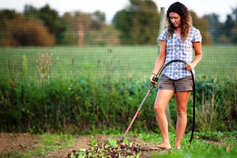 Jennifer Bell '11, garden manager and Metzgar Environmental Project coordinator, waters some plants.