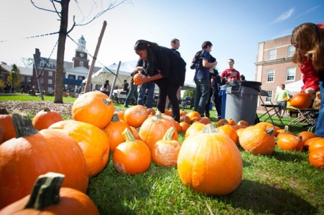 Students pick out pumpkins.