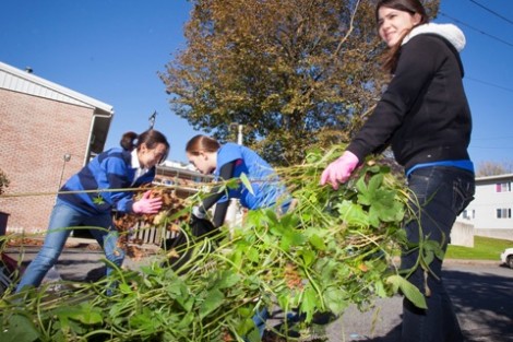 Morgan McGuinness '14 works at Easton’s Weed and Seed Sunflower Garden.