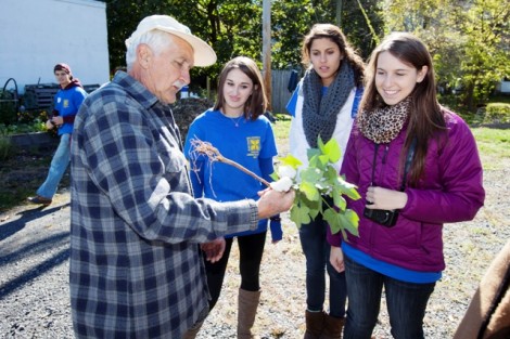 Rolla Gregory, with the Penn State Master Gardener Program, shows a cotton plant to Sarah Woodruff '15 (l-r), Chelsea Marone '13, and Morgan West '13 at the West Ward Neighborhood Partnership's Pine Street Garden. 