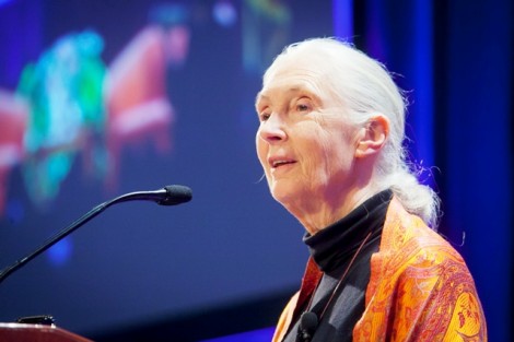 Jane Goodall presents the Thomas Roy and Lura Forrest Jones Visiting Lecture.