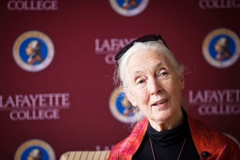 Jane Goodall answers questions during a press conference.