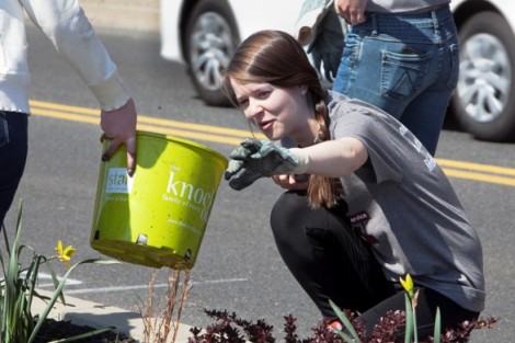 Maura Schlussel '15 throws weeds in a bucket on Larry Holmes Drive.