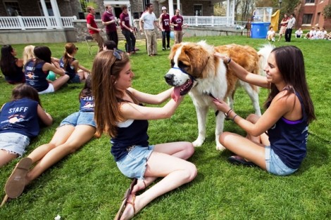 Emily Riccardi '13, left, and Casey Dipsey '13 play with Blue the St. Bernard.