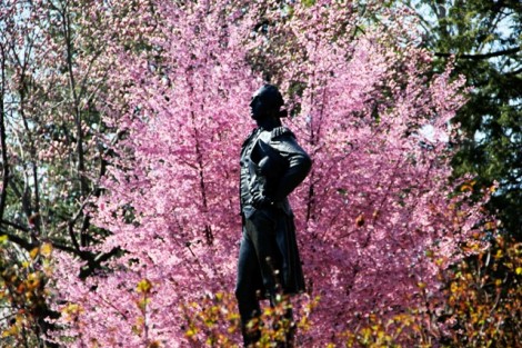 A spring image of the Marquis de Lafayette statue by Daniel Chester French