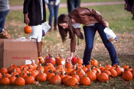 Katie Lay '17 selects a pumpkin to decorate. 