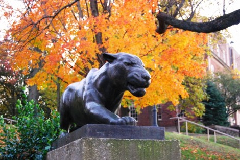 The leopard statue is accented by a burst of orange leaves.
