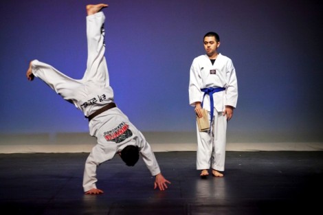 Members of the Lafayette Taekwondo club put on a demonstration of their skills.