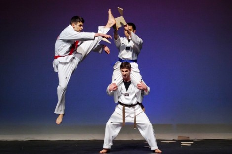 Members of the Lafayette Taekwondo club put on a demonstration of their skills.