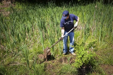 A student in Professor David Brandes’ Water Resources course digs up an area where trees and shrubs will be planted.  