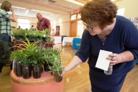 Debbie Blache, benefits assistant in human resources, picks out herbs for her home garden.