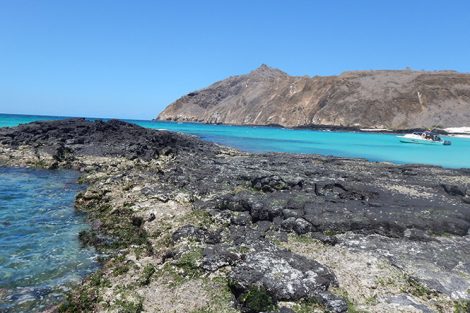 Solidified pahoehoe lava that flowed into the Pacific Ocean, next to a warm water cove students swam in after exploring the volcanic landscape of San Cristobal, Galapagos Islands, Ecuador. Submitted by Emily LoPiccolo '19.