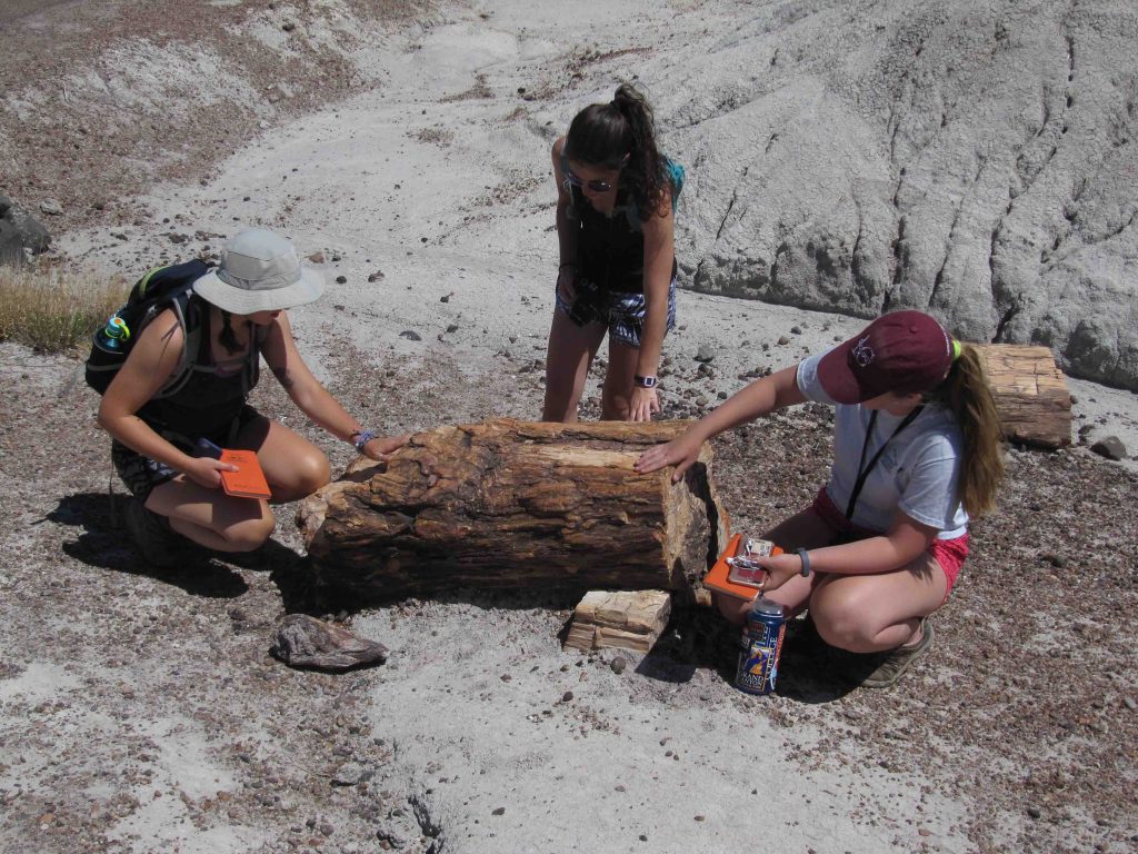 Students examine petrified wood in Petrified Forest National Park, home to fossilized fallen trees that lived about 210 million years ago.