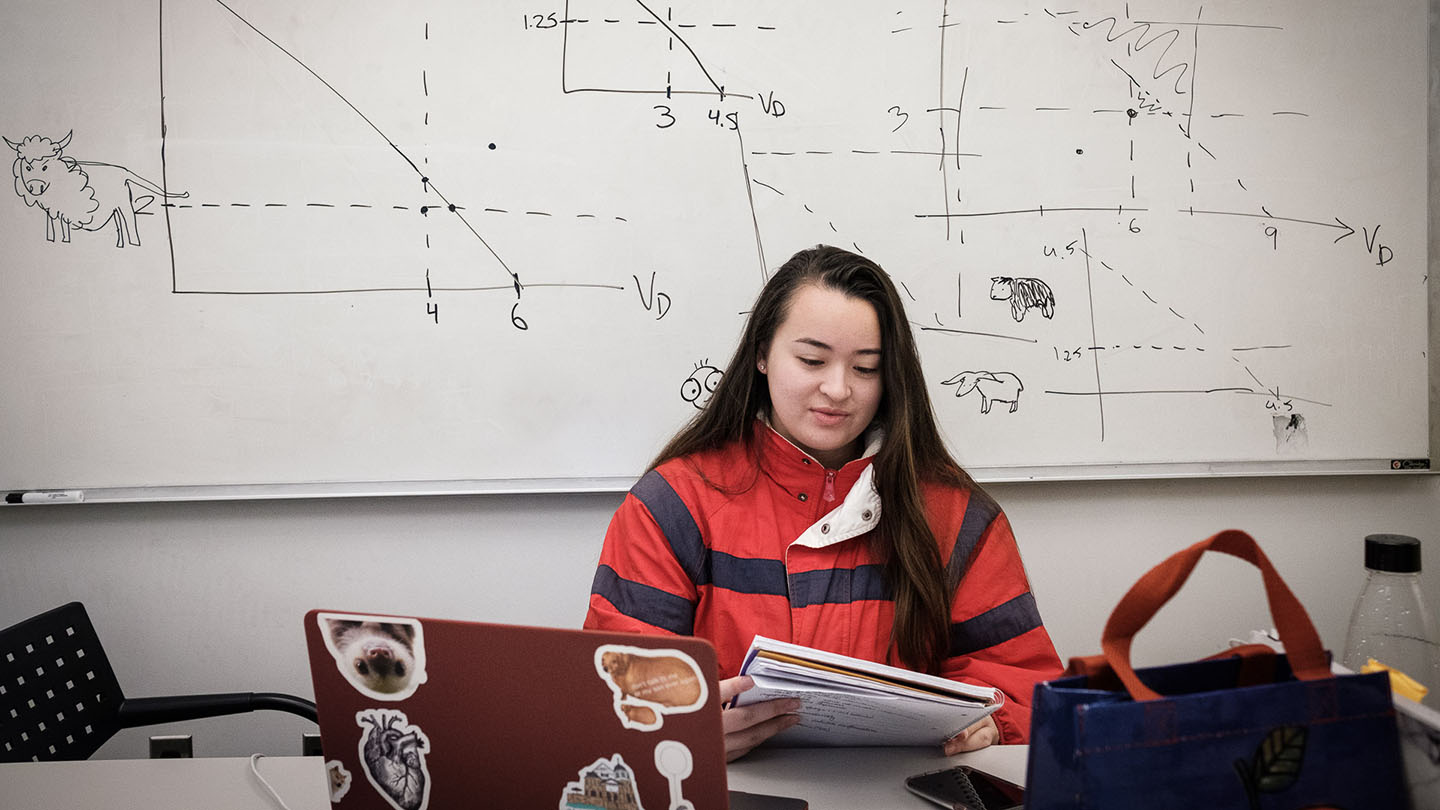 A student studies with graphs and animals drawn on the white board behind her. 