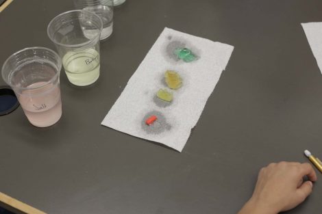 Gummy bears in various states of contraction and expansion.