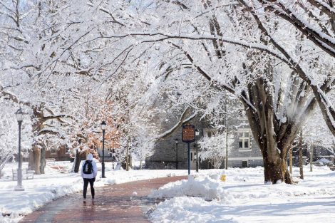 A student walks on a brick walkway below snow-covered tree branches.
