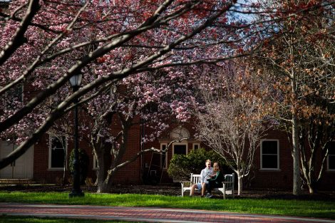 students study, sit, and play on the quad during a brief vision of spring