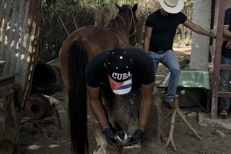 Lucie Lagodich's photo submission of shoeing a horse in Cuba.