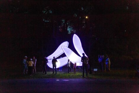 A crowd gather around the illuminated wing sculpture